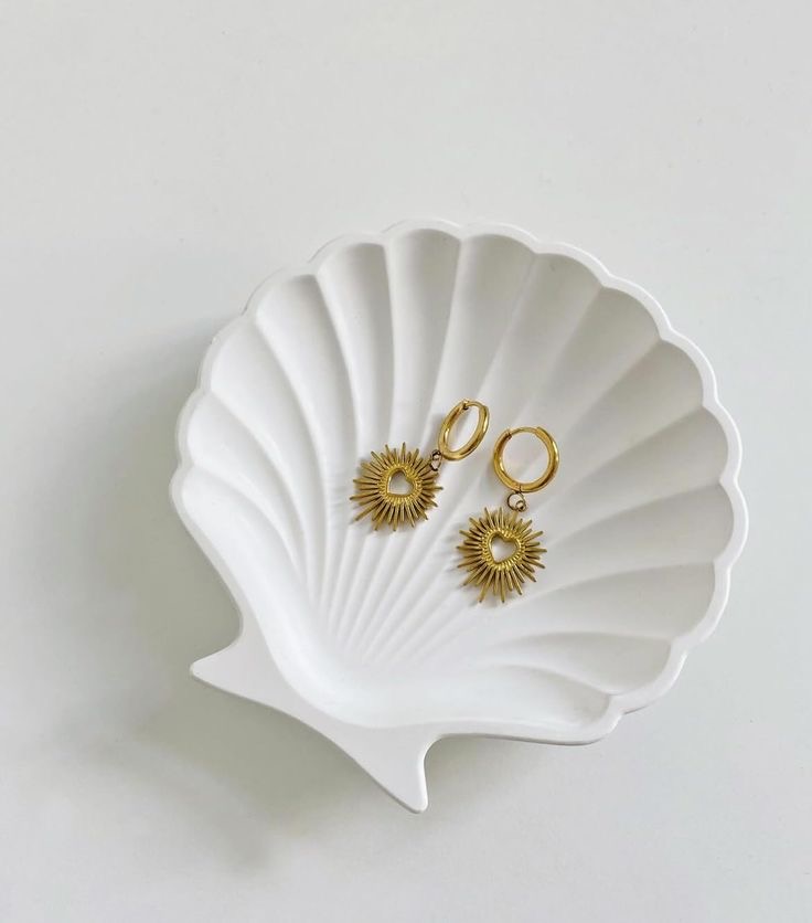 كوستر الصدفة عدد 20